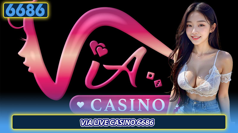 VIA Live Casino 6686