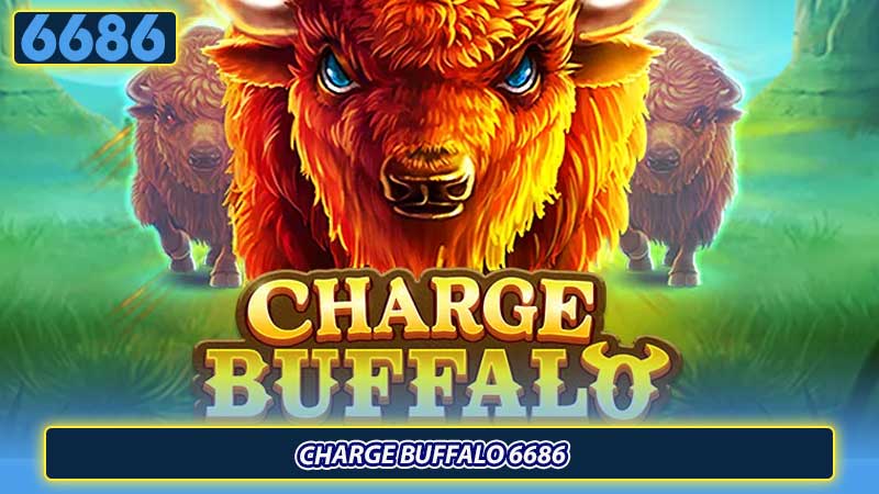 Charge Buffalo 6686